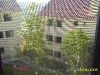 NF2-A0A1